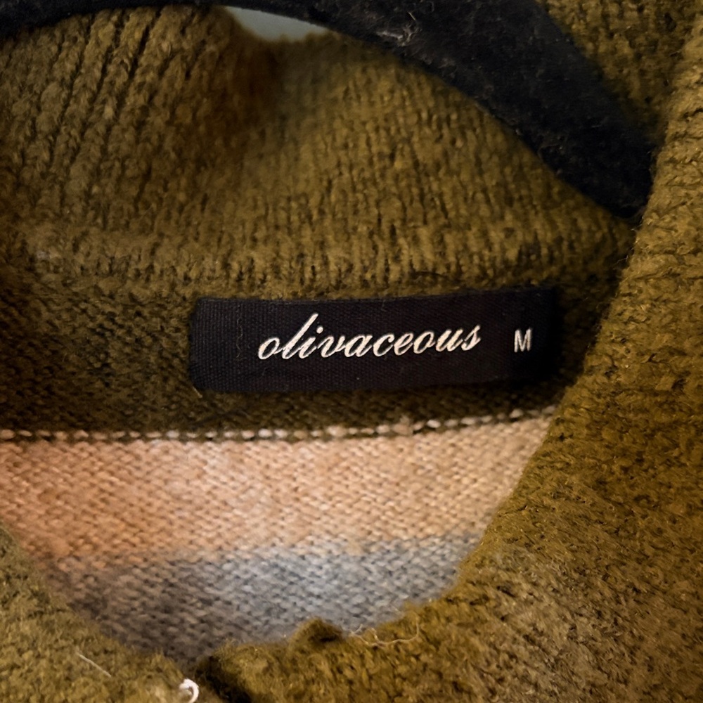 Olivaceous Olive and Blue Striped Sweater - Picture 2 of 3